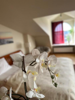 Old Town Apartment with Sauna, Riga